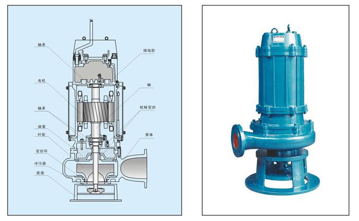 排污泵 排污泵
