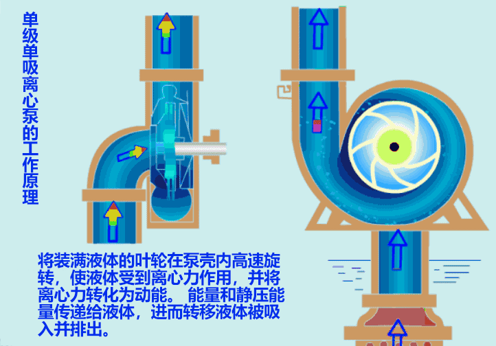 離心泵原理動圖